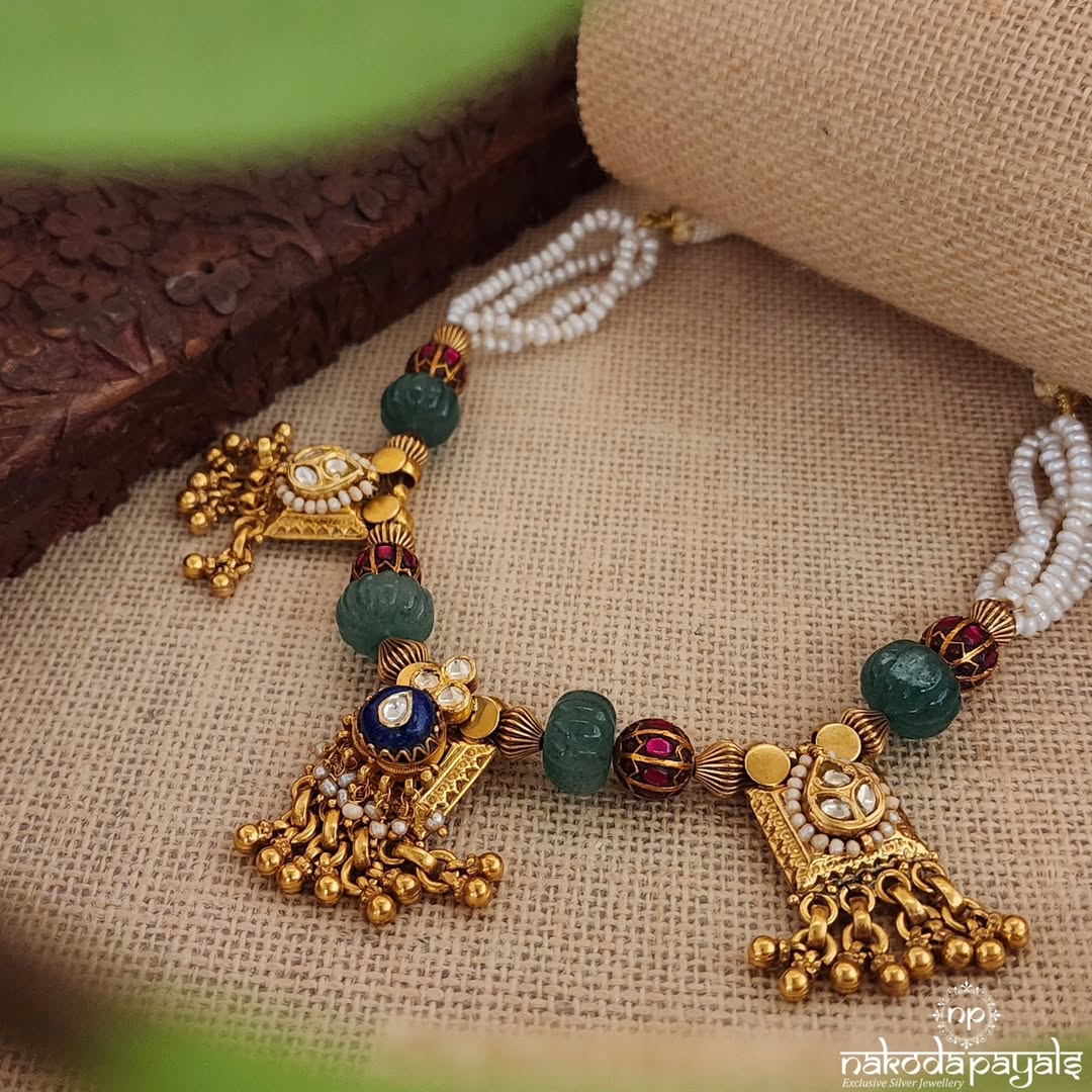 Latest Necklace Collection From 'Nakoda Payals'